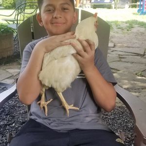 Meet your Posher, Anthony